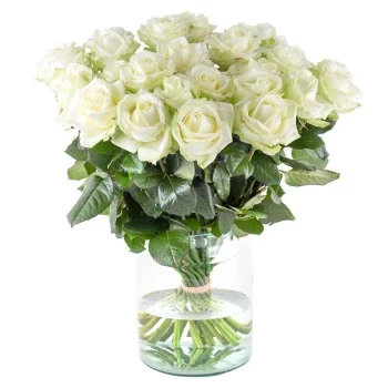 Pforzheim flowers  -  Delightful Daisy Delight Flower Delivery