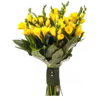Sicily flowers  -  Yellow Freesias