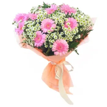 بائع زهور صقلية- باقة من جربيرا الوردي والأقحوانات البيضاء