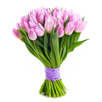 بائع زهور صقلية- باقة من زهور التوليب الوردية