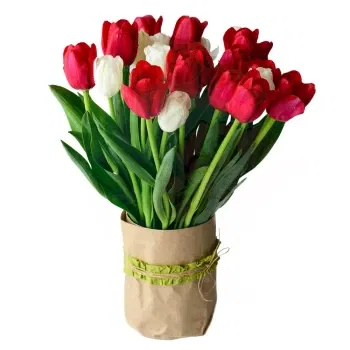 Milano blomster- Bukett Med Hvite Og Røde Tulipaner