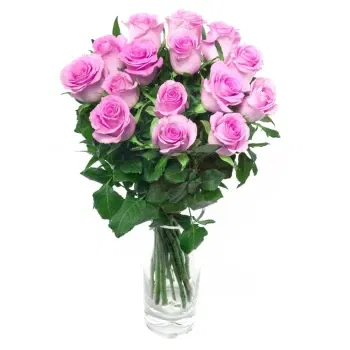 بائع زهور صقلية- 15 وردة وردية