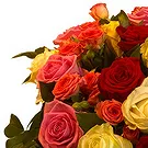 Aalst bloemen bloemist- luxe boeket van gemengde rozen Boeket/bloemstuk