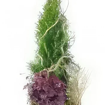 ナント 花- モミの高さ植物喪組成 花束/フラワーアレンジメント