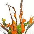 뷰 포트 꽃- 열 대 깜짝 꽃다발/꽃꽂이