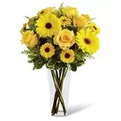Delhi blommor- Tillgivenhet Bukett/blomsterarrangemang