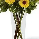 Delhi blommor- Tillgivenhet Bukett/blomsterarrangemang