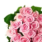 Santi Angeli Blumen Florist- Ein Strauß rosa Rosen Bouquet/Blumenschmuck