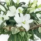 Ducos Blumen Florist- Blumenstrauß aus weißer Lilie aus Alicante Bouquet/Blumenschmuck