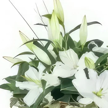 Kiva kukat- Alicanten valkoinen liljakimppu Kukka kukkakimppu