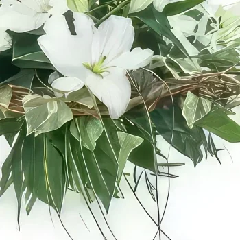 Kiva kukat- Alicanten valkoinen liljakimppu Kukka kukkakimppu