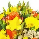 Bayonne flowers  -  Ambassador bouquet Flower Bouquet/Arrangement