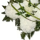 Grampia flowers  -  Ceremonial Cross Flower Bouquet/Arrangement
