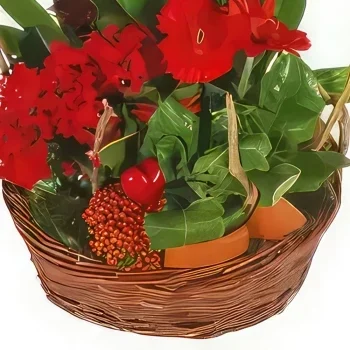 Marseille blomster- Antho the Gardener Plant Basket Blomsterarrangementer bukett