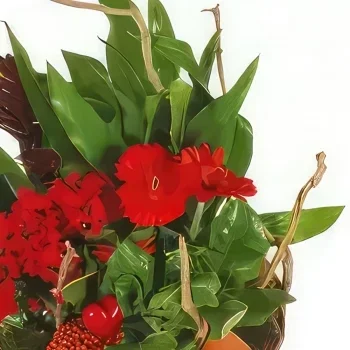 Στρασβούργο λουλούδια- Καλάθι φυτών Antho the Gardener Μπουκέτο/ρύθμιση λουλουδιών