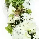 巴黎 花- 阿里斯托芬白花花环 花的花束安排