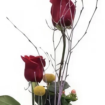 מדריד פרחים- הצטרף אלינו זר פרחים/סידור פרחים