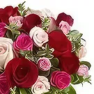 Ad Dilam blomster- 24 Blandede roser Blomsterarrangementer bukett