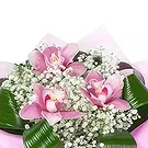 Sofia flowers  -  Pink Miracle Flower Bouquet/Arrangement