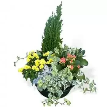 Pæn online Blomsterhandler - Blanding af planter Tidens have Buket