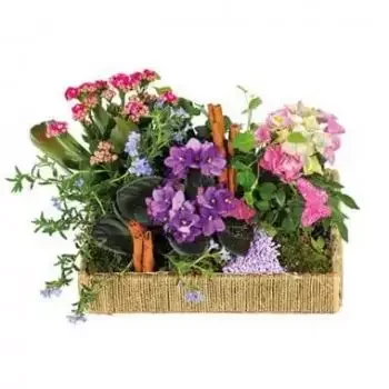 ליל פרחים- תערובת צמחים הגן הקסום זר פרחים/סידור פרחים