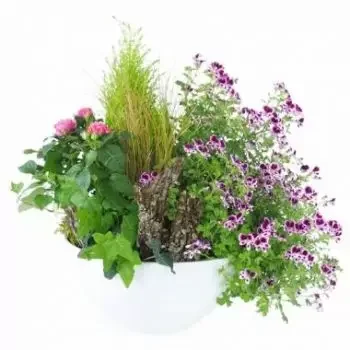 GrandRiviere online Blomsterhandler - Blanding af pink og lilla Pulchra planter Buket