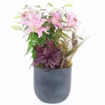 Aignay-le-Duc kvety- Vysoká montáž rastlín Hortus Lilium Kvet Doručenie