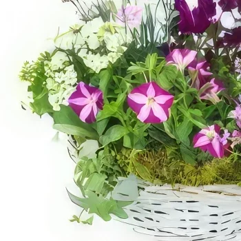 nett Blumen Florist- Montage von rosa und violetten Rosea-Pflanzen Bouquet/Blumenschmuck