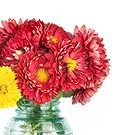 Termini flowers  -  Bunch of chrysanthemums Flower Bouquet/Arrangement
