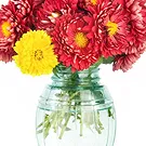 Termini flowers  -  Bunch of chrysanthemums Flower Bouquet/Arrangement