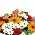 Aleko Konstantinovo blomster- Frihedsblomster Blomst buket/Arrangement