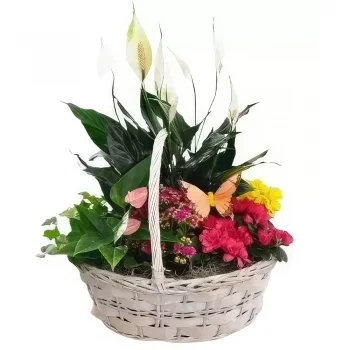 Zaragoza Blumen Florist- Bunter Korb Bouquet/Blumenschmuck