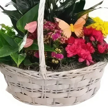 fleuriste fleurs de Zaragoza- Panier coloré Bouquet/Arrangement floral