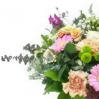 Στρασβούργο λουλούδια- Καλάθι με ροζ και σομόν εξοχικά λουλούδια Art Μπουκέτο/ρύθμιση λουλουδιών