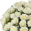 Smederevska Palanka flowers  -  White Glow Flower Bouquet/Arrangement