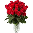 Oman flowers  -  20 Red Roses Flower Bouquet/Arrangement