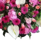 Portugal Blumen Florist- Farbenfrohe Erinnerung Bouquet/Blumenschmuck