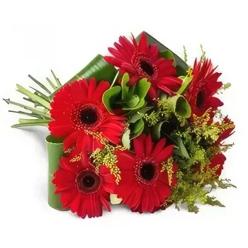 Fortaleza blomster- Bouquet af 6 samme farvede gerberas Blomst buket/Arrangement