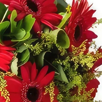 Belém blomster- Bukett med 6 samme fargede gerberas Blomsterarrangementer bukett