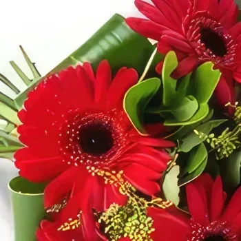 포르 탈 레자 꽃- 6 개의 같은 색깔의 거베라꽃 꽃다발 꽃다발/꽃꽂이