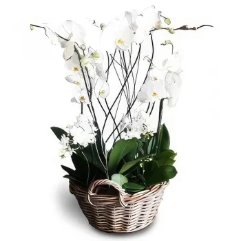 Portimao λουλούδια- Δώρο-Δωρεά Μπουκέτο/ρύθμιση λουλουδιών