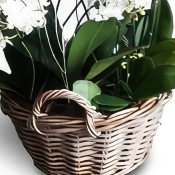 Portimao цветя- Раздаване на подаръци Букет/договореност цвете