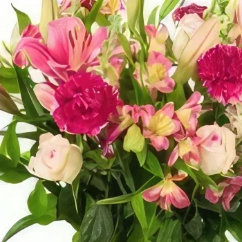 Den Haag bunga- Diatur dengan Indah Rangkaian bunga karangan bunga