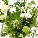 Maastricht Blumen Florist- Bezaubernde Schönheit Bouquet/Blumenschmuck
