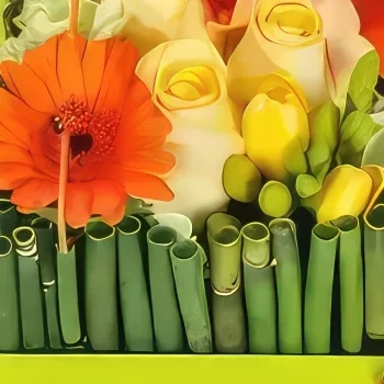 Λιλ λουλούδια- Τετράγωνη σύνθεση του Μπιλμπάο Μπουκέτο/ρύθμιση λουλουδιών