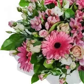 ดอกไม้ บายาโดลิด - สีชมพูน่ารัก ช่อดอกไม้/การจัดวางดอกไม้