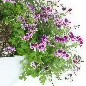 Bordeaux bloemen bloemist- Mix van roze & paarse Pulchra planten Boeket/bloemstuk