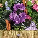 Vendin-le-Vieil flowers  -  Blend of plants The Enchanted Garden Flower Bouquet/Arrangement
