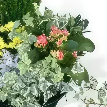 Paris blomster- Blanding af planter Tidens have Blomst buket/Arrangement