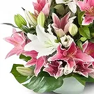 Cala Llonga flowers  -  Whispering Lily Garden Flower Bouquet/Arrangement